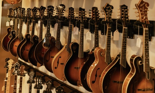 rows of guitars hung on a wall